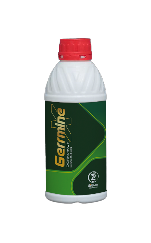 GERRMINEX